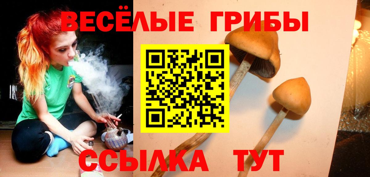 Галлюциногенные грибы ЛСД  Вход с VPN  сколько стоит  Дмитров 